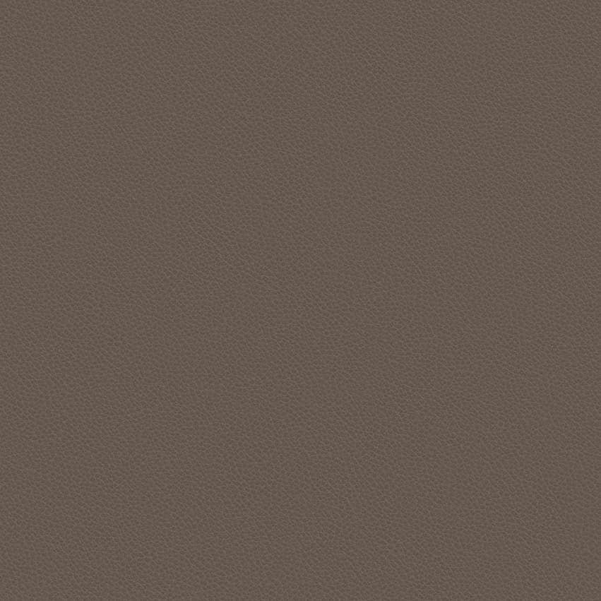 leone-plus_705409_lowres