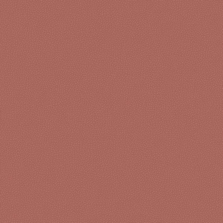 leone-plus_705411_lowres