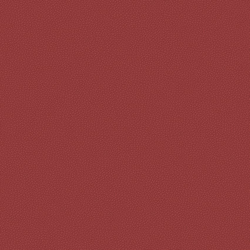 leone-plus_705410_lowres