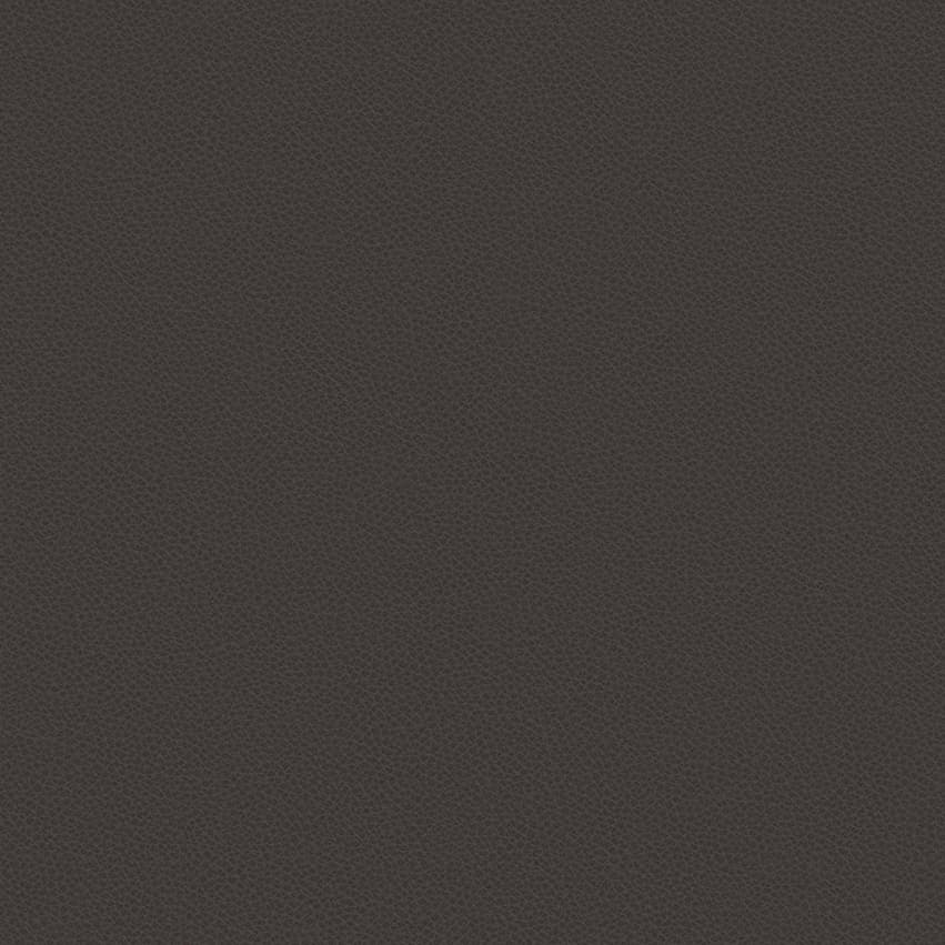leone-plus_705414_lowres