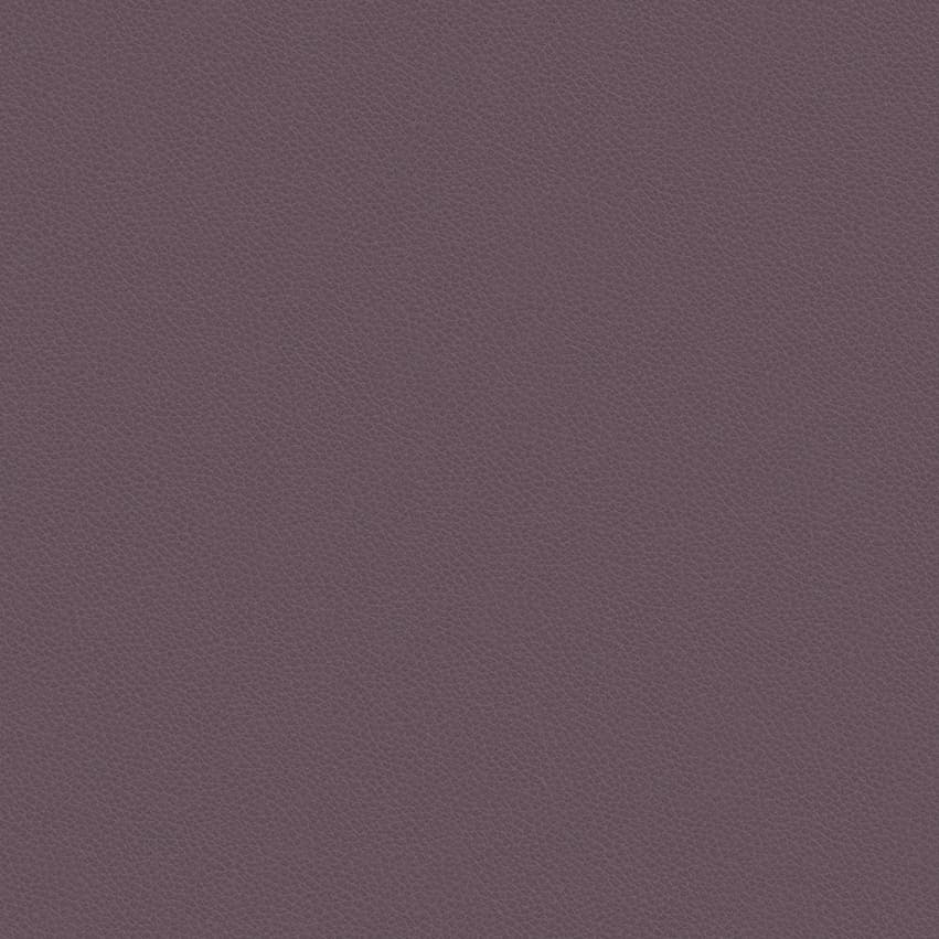 leone-plus_705418_lowres
