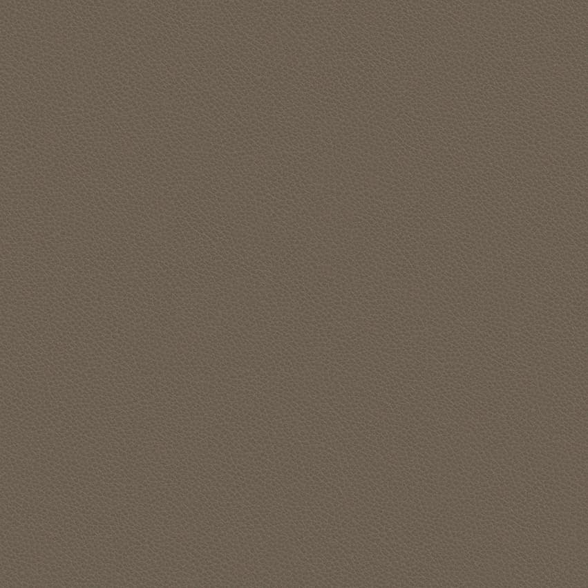 leone-plus_705419_lowres
