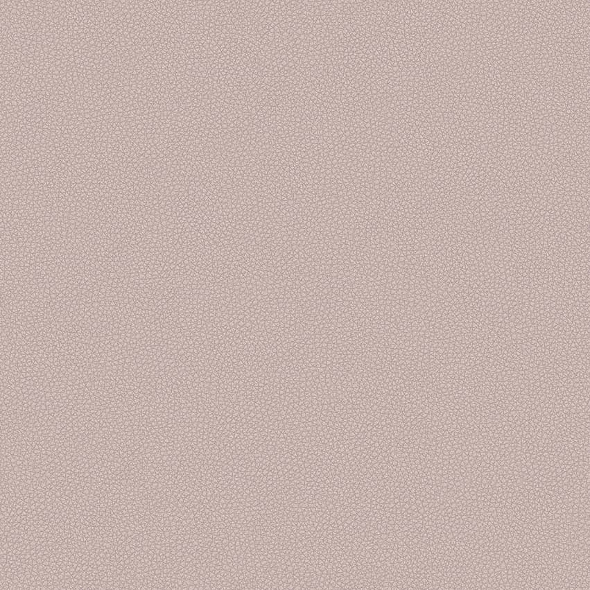 leone-plus_705417_lowres