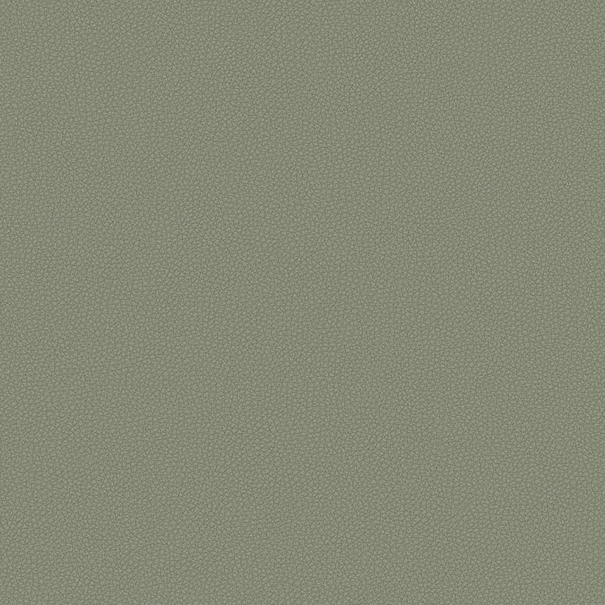 leone-plus_705420_lowres