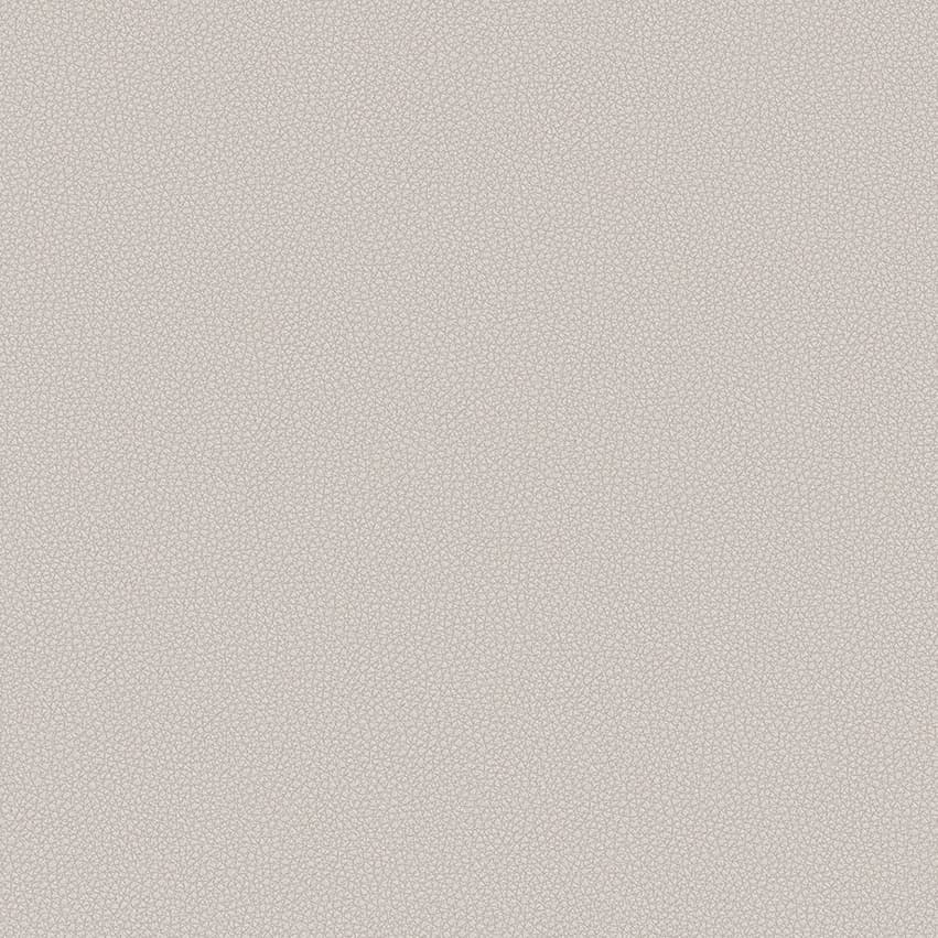 leone-plus_705421_lowres
