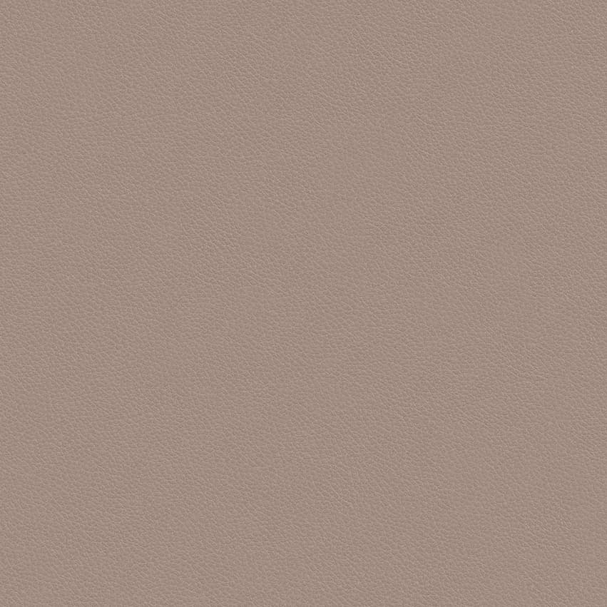 leone-plus_705412_lowres