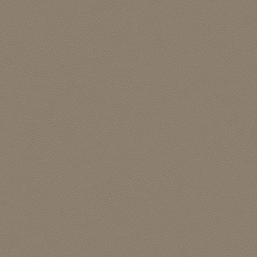 leone-plus_705413_lowres