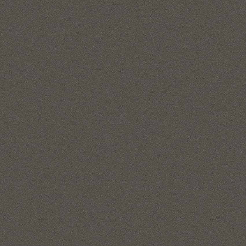 leone-plus_705415_lowres