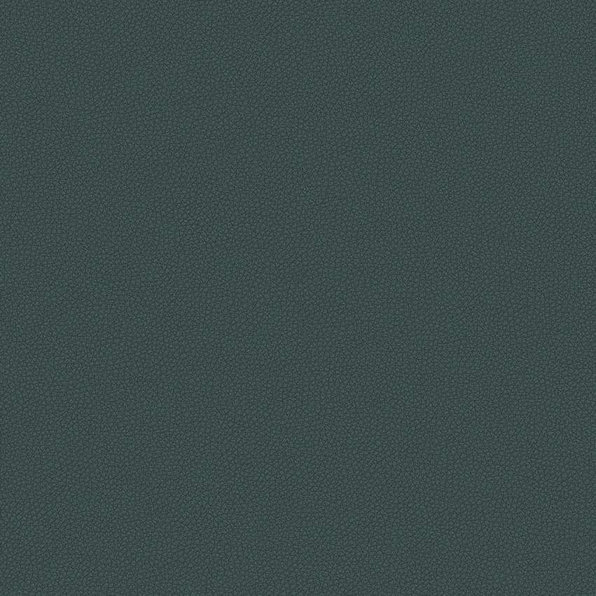 leone-plus_705416_lowres