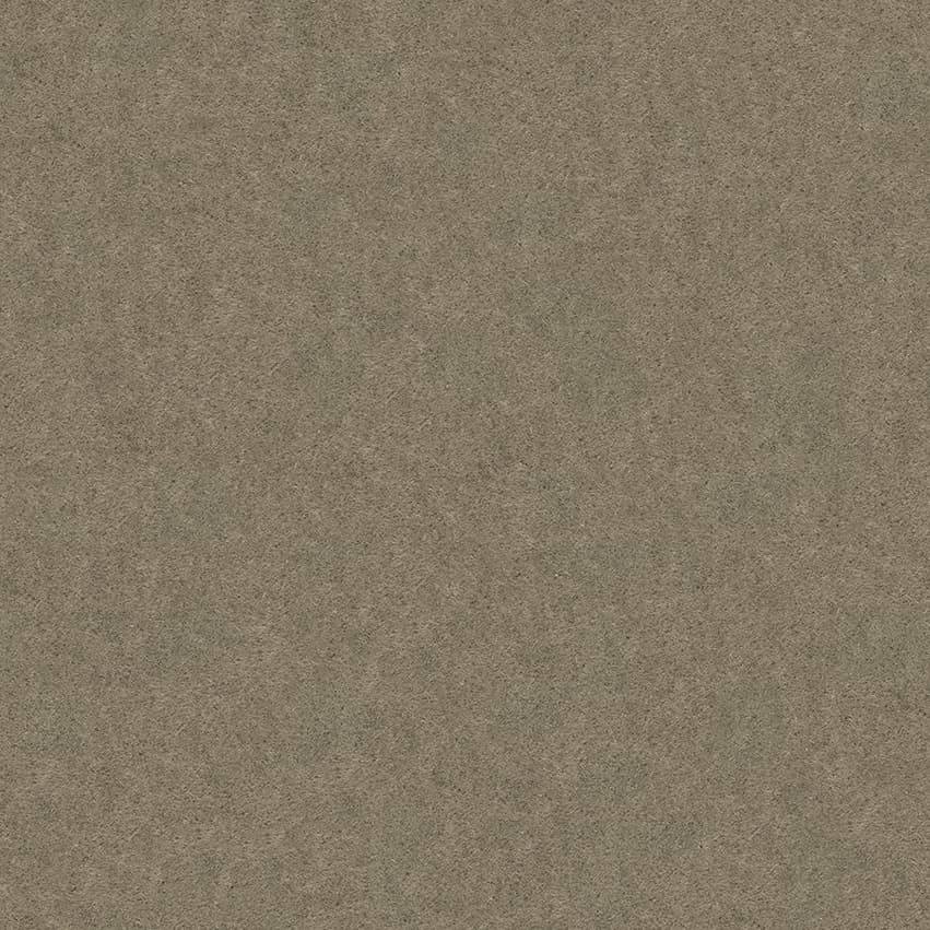 monte_707305_lowres