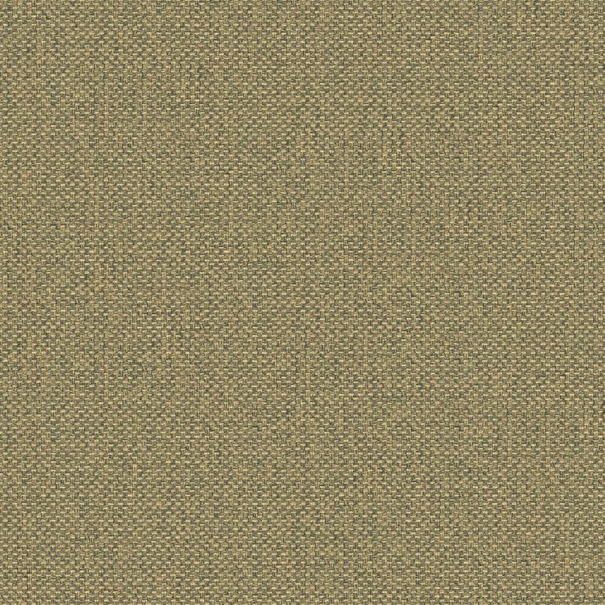 noss_705823_lowres