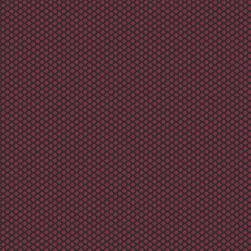 rolla_706501_lowres