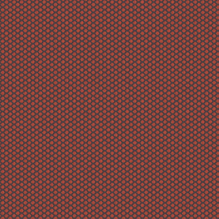 rolla_706503_lowres