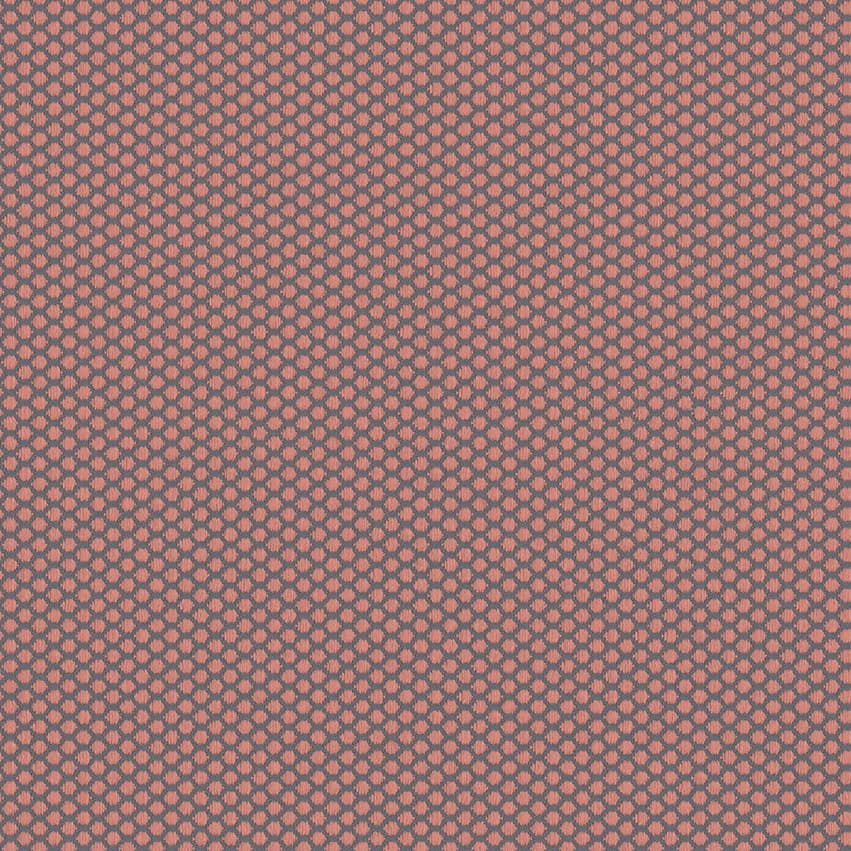 rolla_706504_lowres