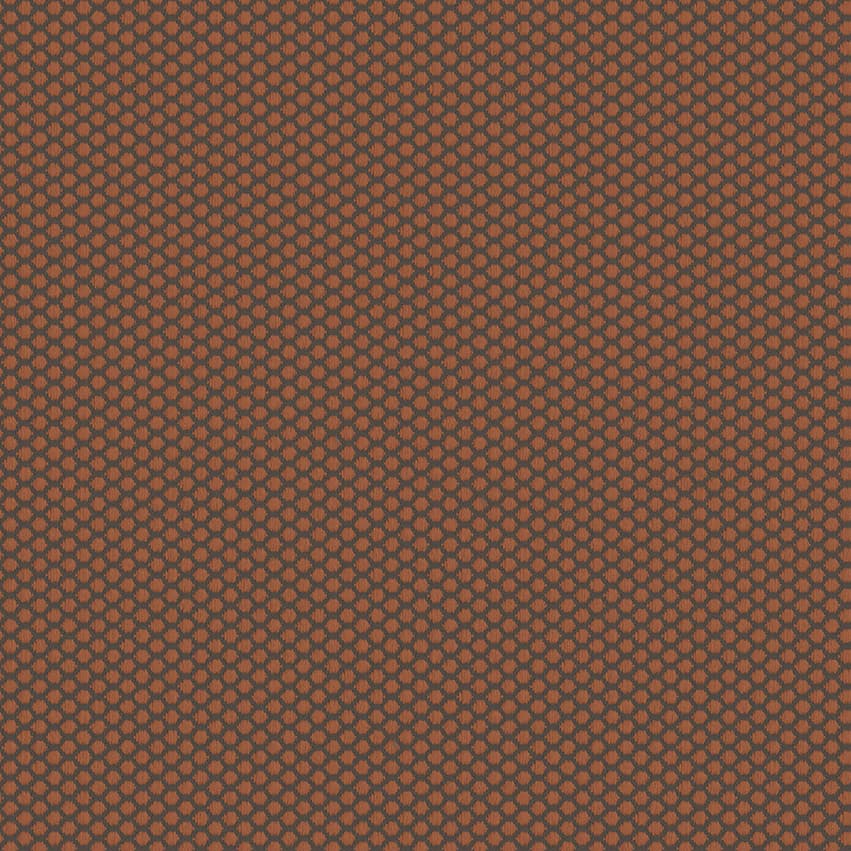 rolla_706511_lowres