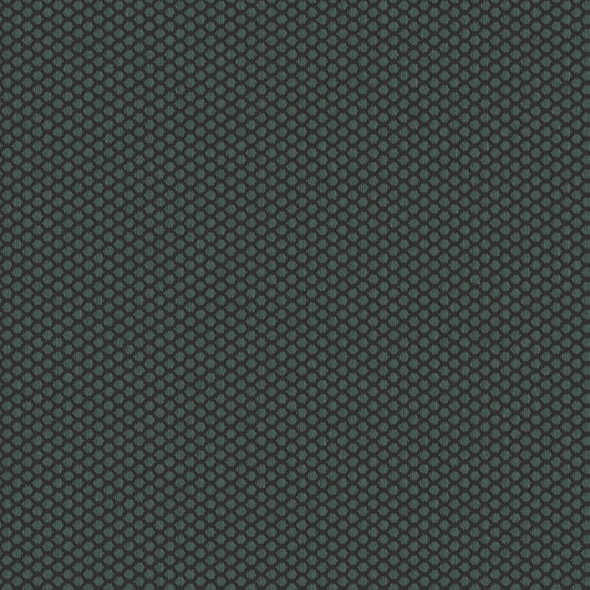 rolla_706520_lowres
