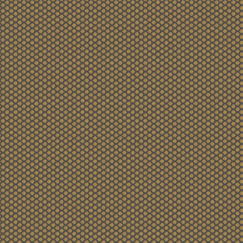 rolla_706514_lowres