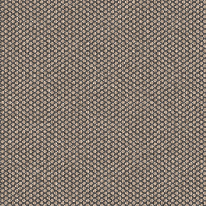 rolla_706516_lowres