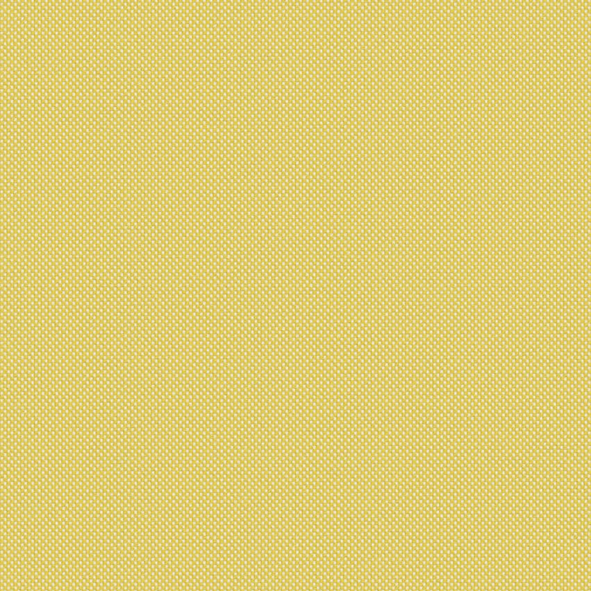 samar_705203_lowres