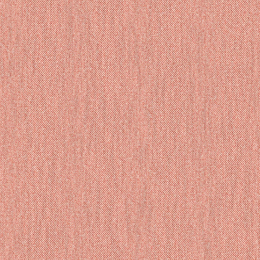 wolin_705032_lowres