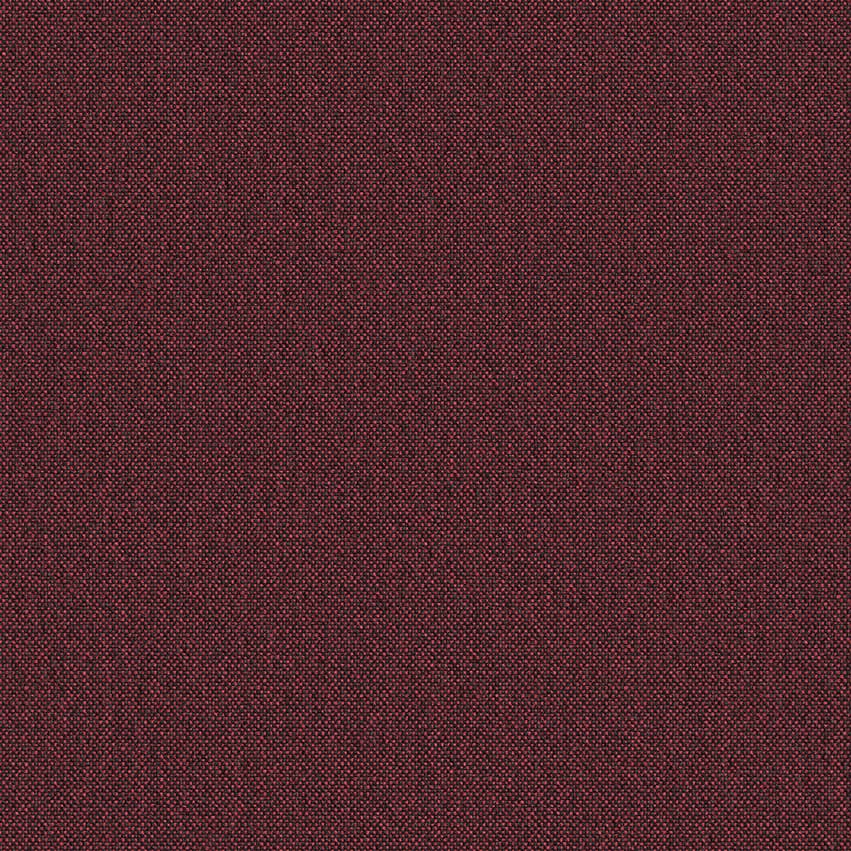 wolin_705034_lowres