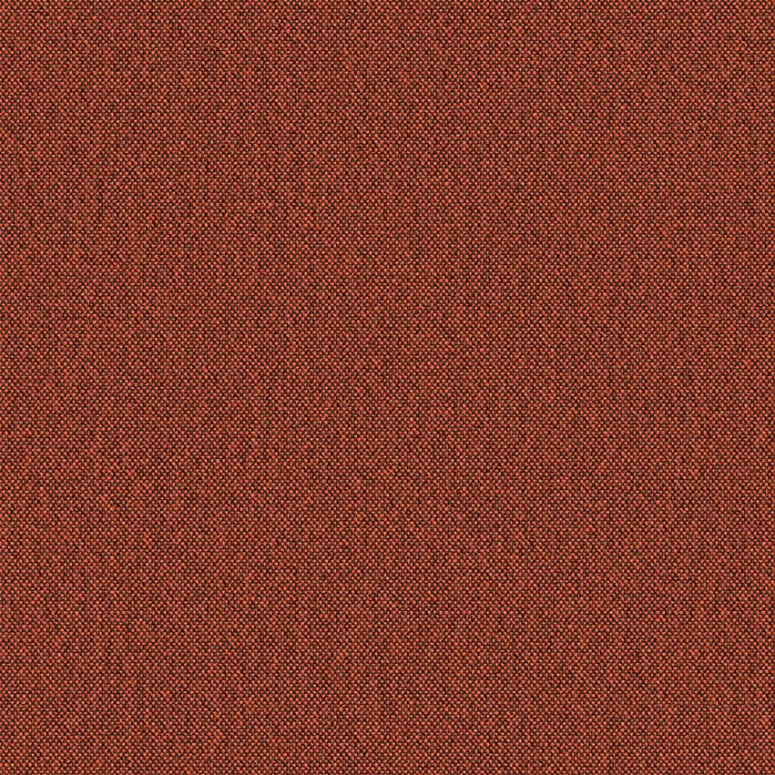 wolin_705046_lowres