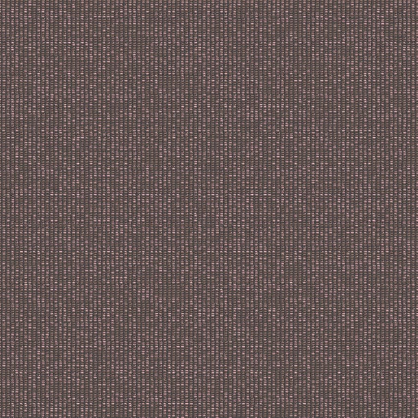 zenith_707901_lowres