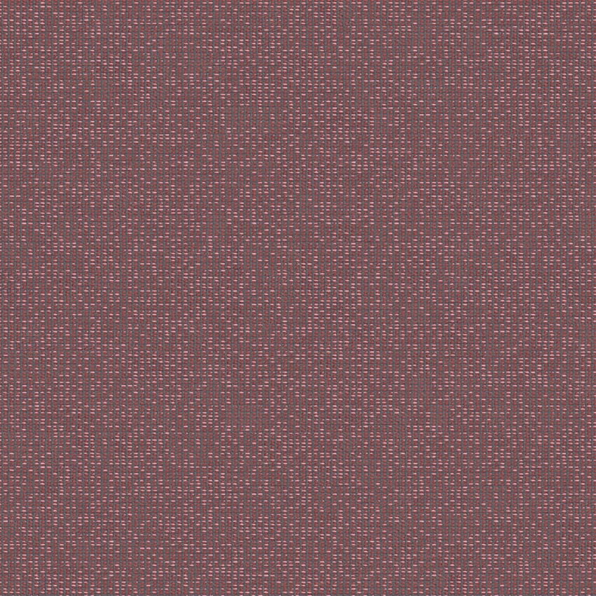 zenith_707908_lowres