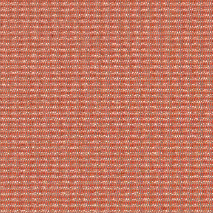 zenith_707909_lowres