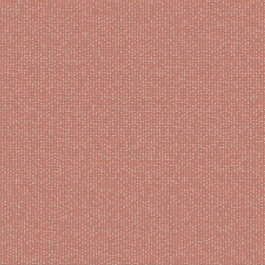 zenith_707903_lowres