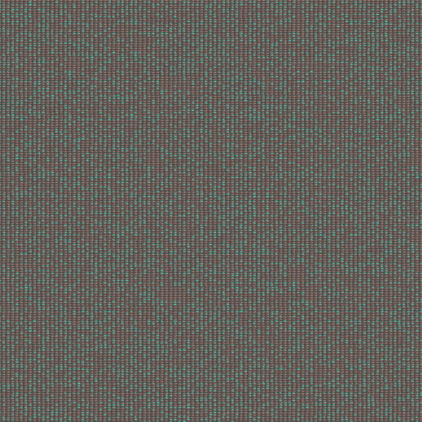 zenith_707905_lowres