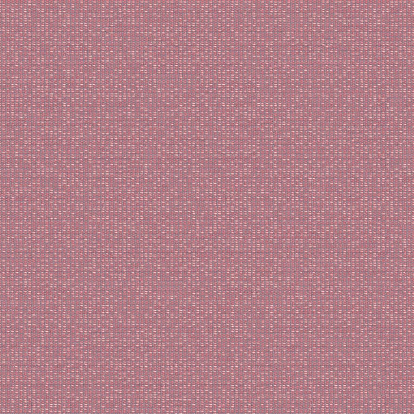 zenith_707904_lowres