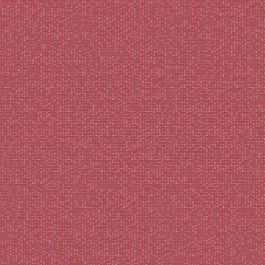 zenith_707907_lowres