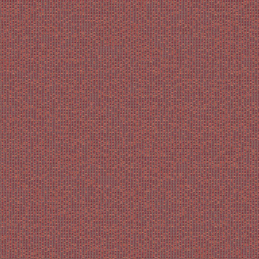 zenith_707906_lowres