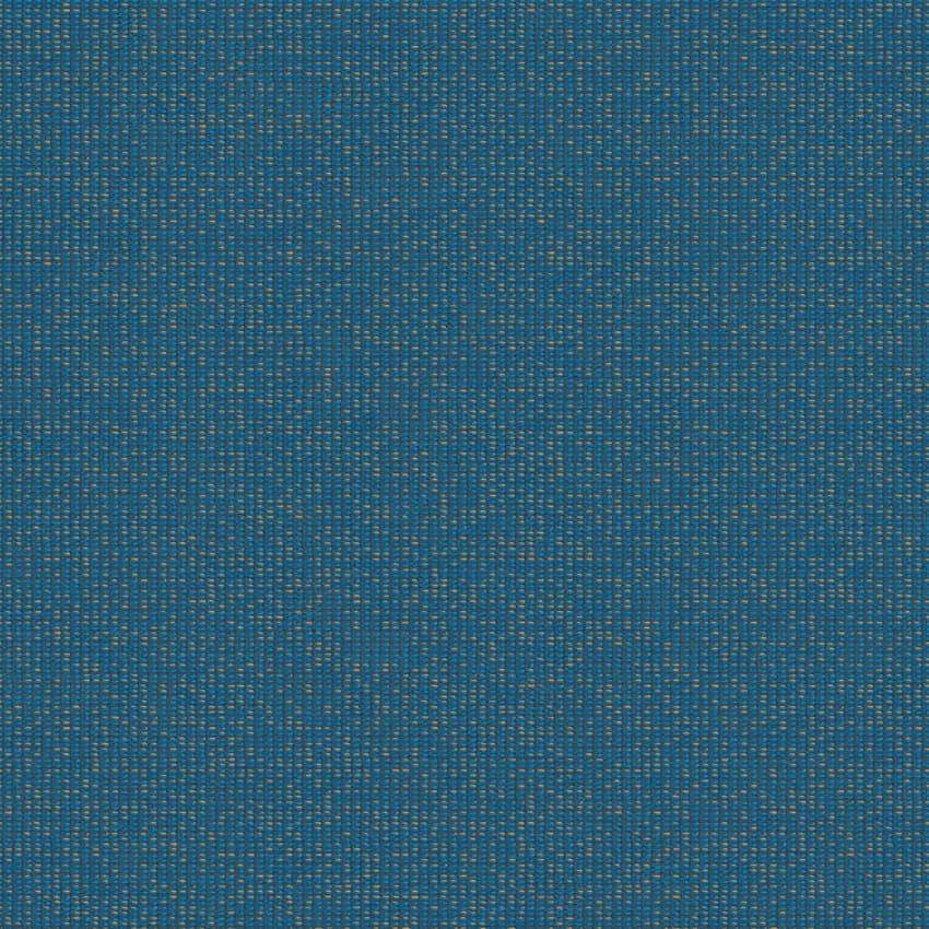 zenith_707916_lowres