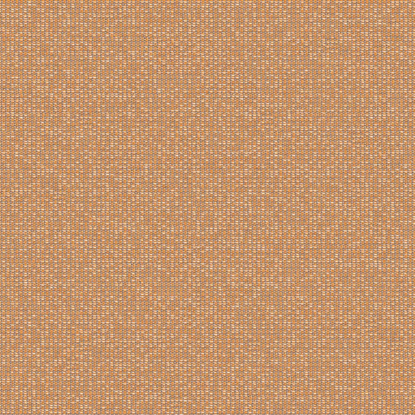 zenith_707917_lowres