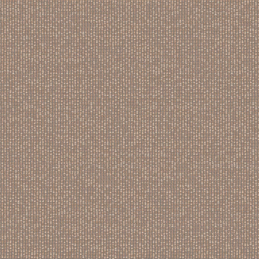 zenith_707927_lowres