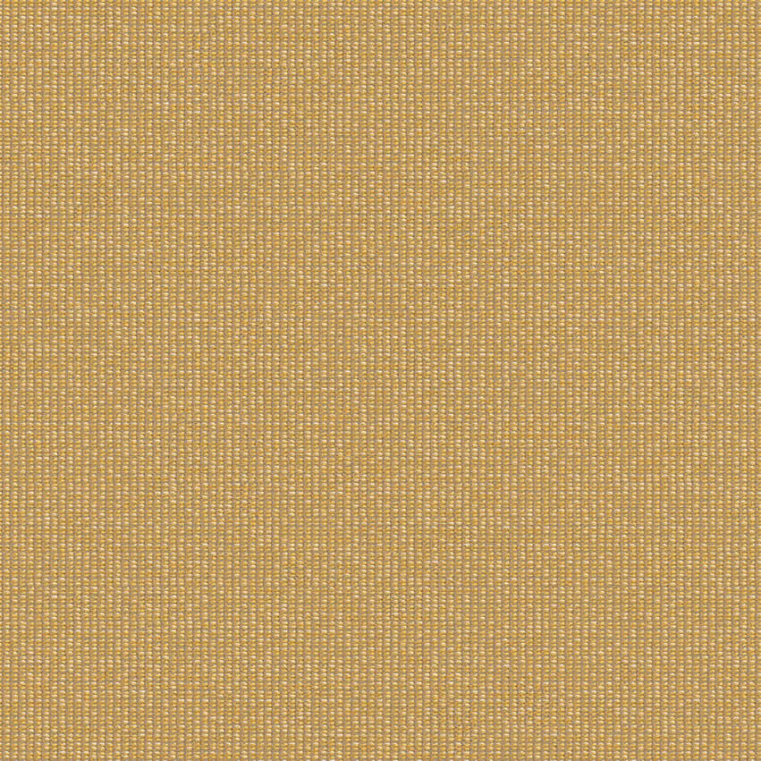 zenith_707925_lowres