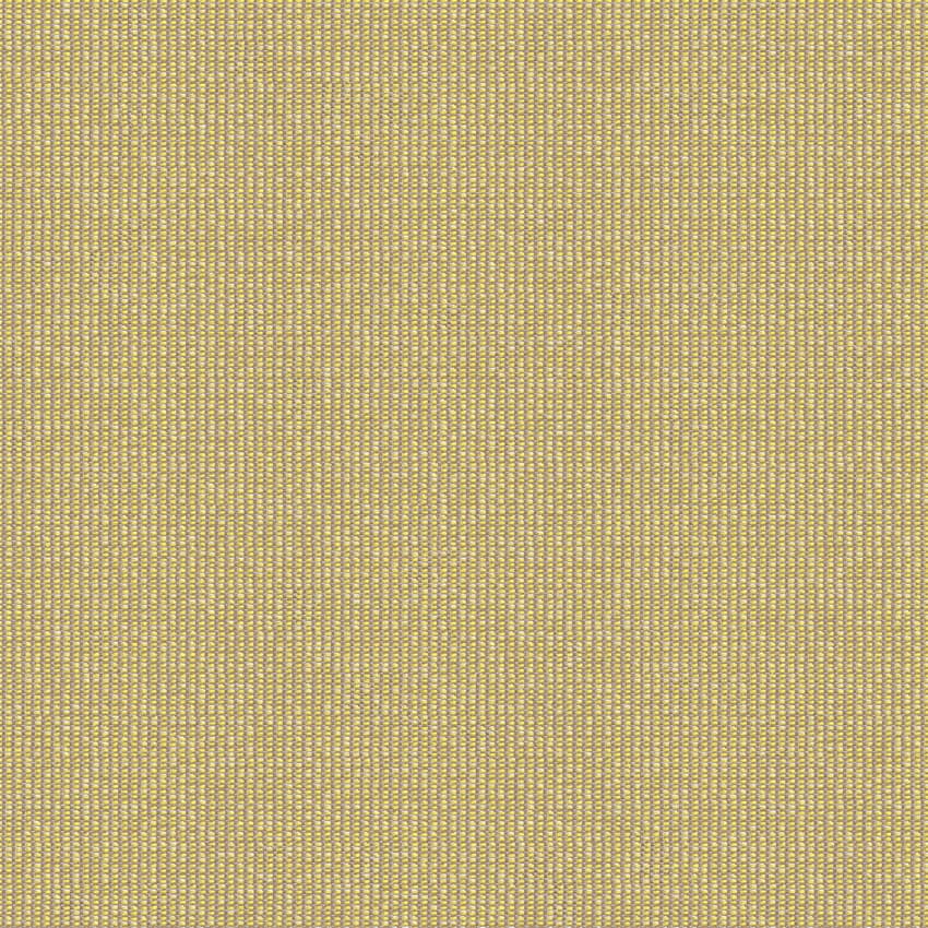 zenith_707923_lowres