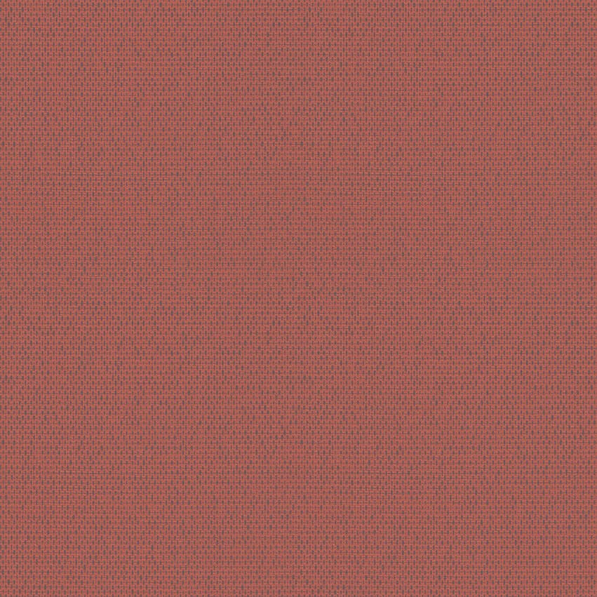 arrow_705517_lowres