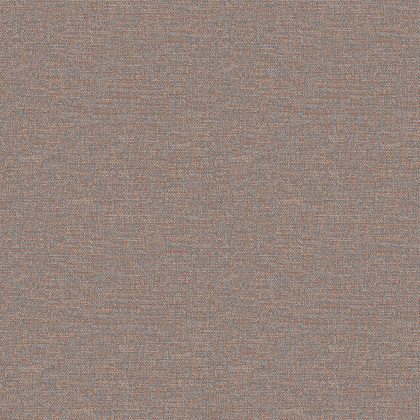 ellis_807906_lowres