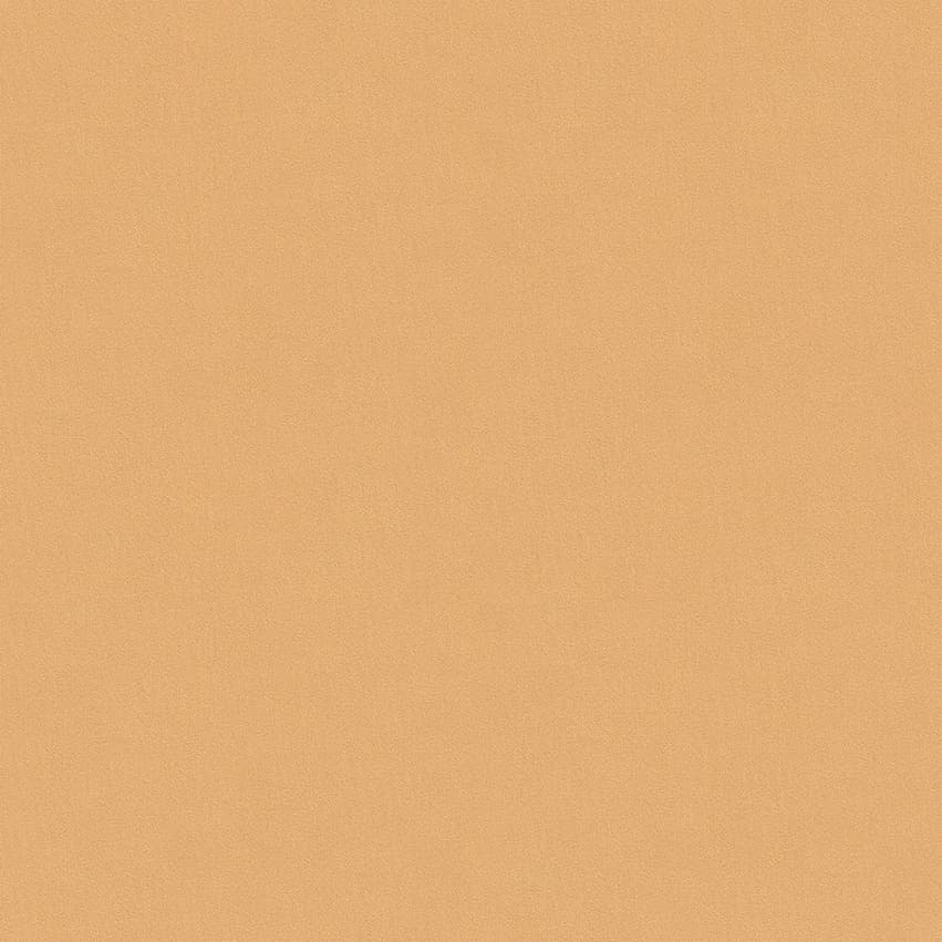 moroni_806009_lowres