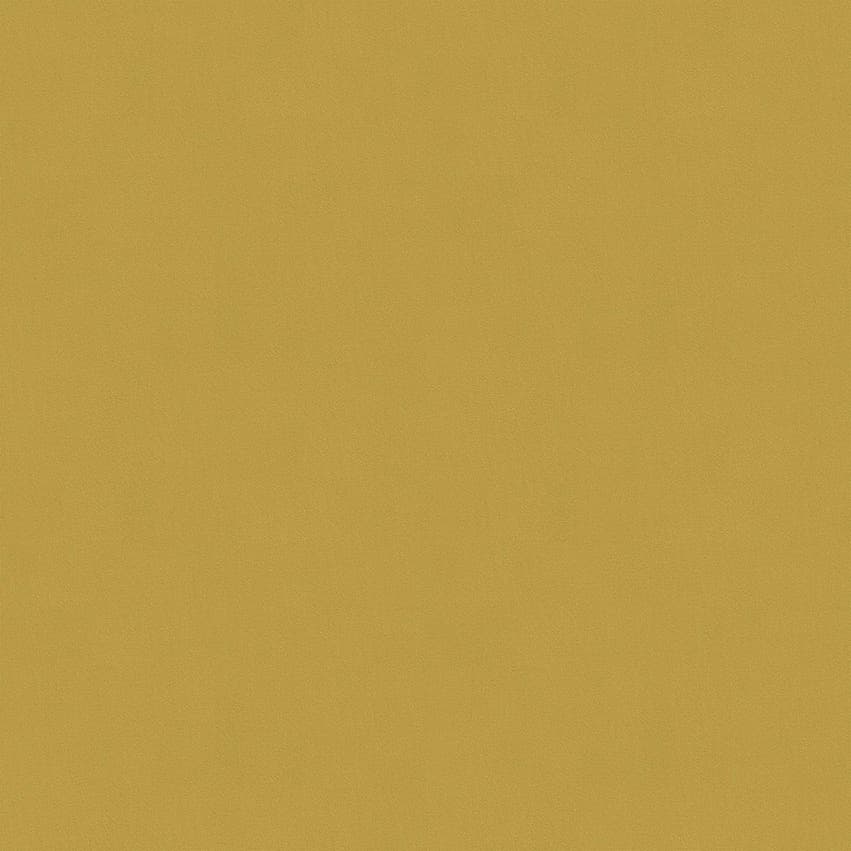 moroni_806013_lowres