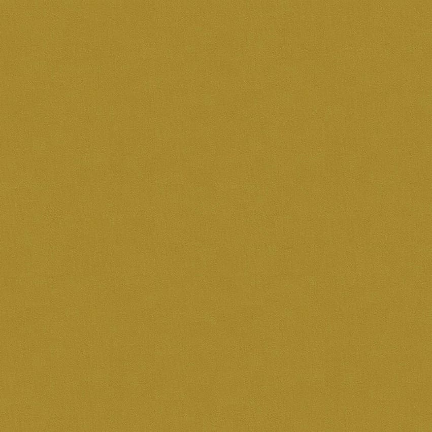 moroni_806014_lowres