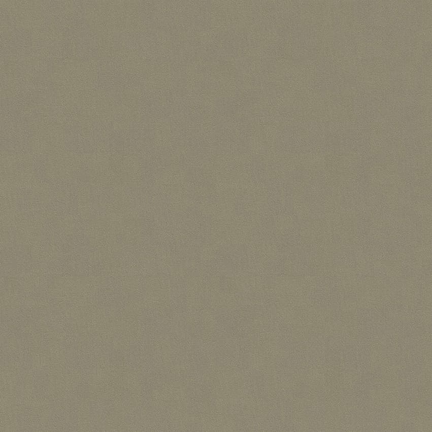 moroni_806017_lowres
