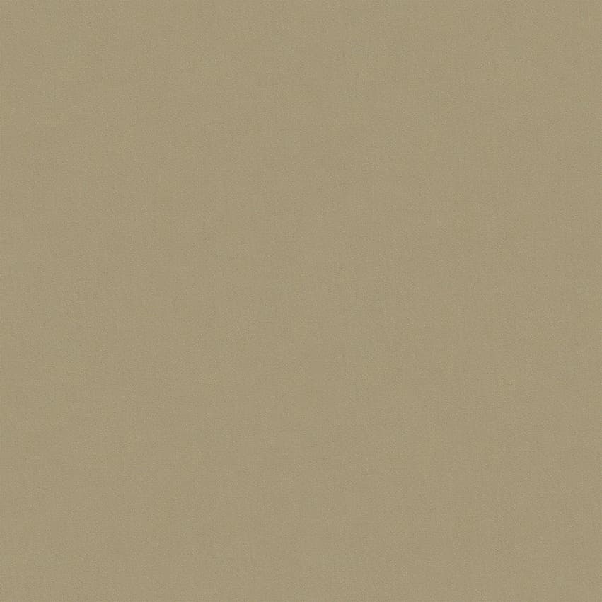 moroni_806022_lowres