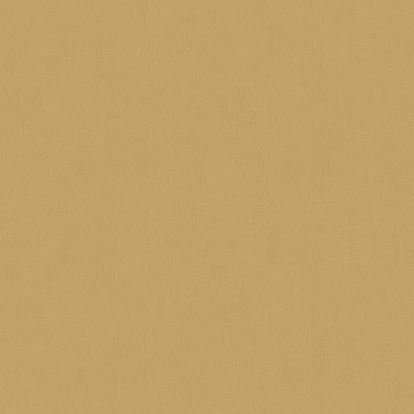 moroni_806018_lowres