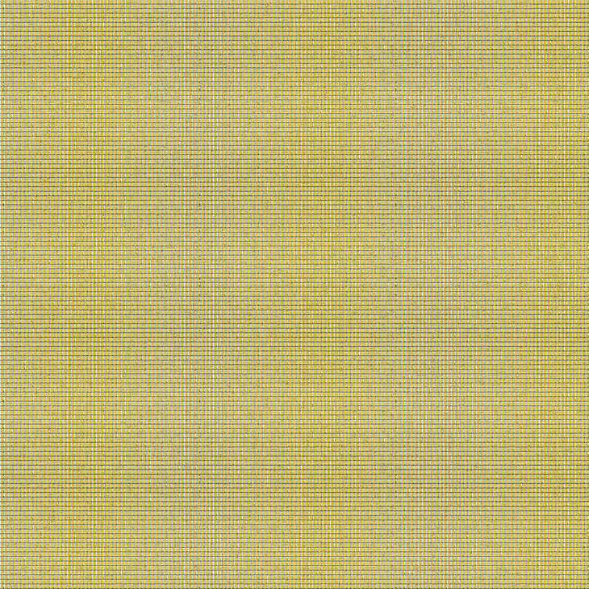 nias_808613_lowres