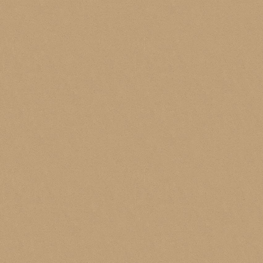 morris_210206_lowres