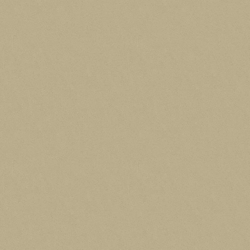 morris_210213_lowres
